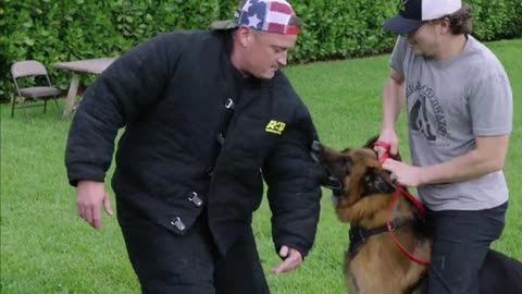 Want to help Veterans and Train Your Dog at the Same Time?