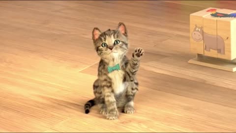 El Gato en la VIDA REAL, Little Kitten - My Favorite Cat, My Talking Tom 2