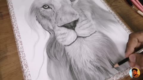 How to draw a real lion sketch drawing