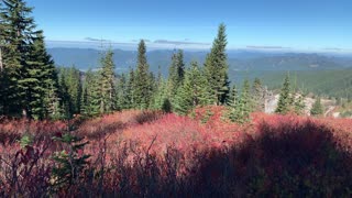 Oregon – Mount Hood – Expansive Alpine Valley Views in Autumn – 4K
