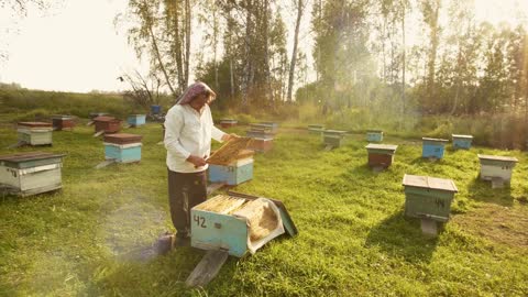 Different uses of organic beeswax