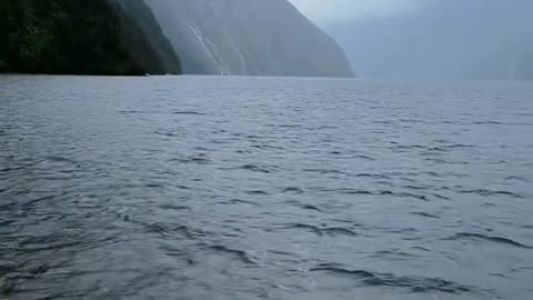 Deep Milford Sound in New Zealand