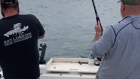 Triple On, all Salmon Landed with ReelSilver Charters