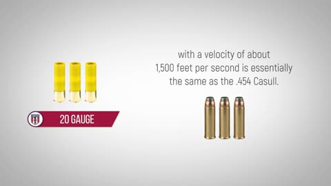 20 Gauge Ammo - History