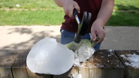 Making of Dinosaur Frozen in Ice | Dinosaur in Balloon | Dinosaur Ice Eggs