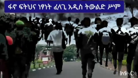 ምክር ለትግሬ !!