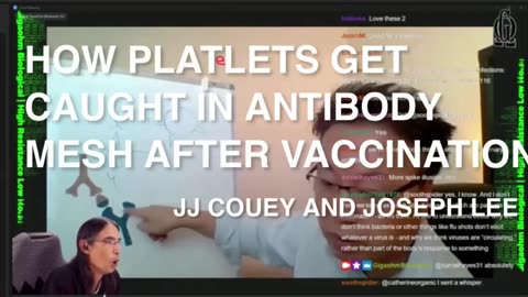 Joseph Lee, MD explains his vaccine injury theory
