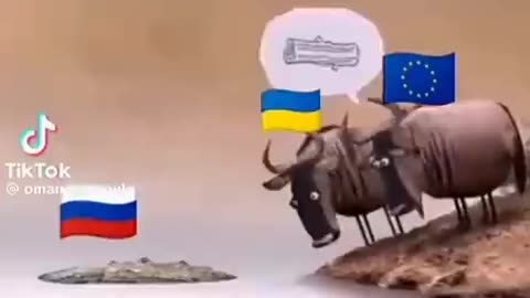 🇷🇺🇺🇦🇪🇺A little geopolitics⚡️⚡️⚡️