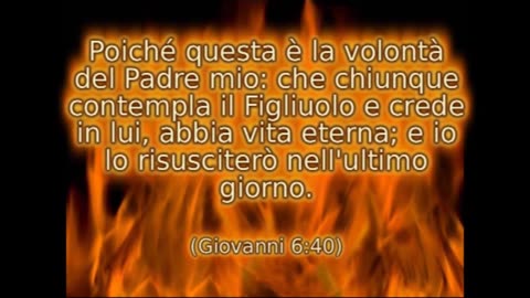 Credete in Gesù Cristo e sarete salvati ma a questo punto non credo per la bestemmia allo spirito santo che NON POTRà MAI ESSERE RIMESSA e il peccato l'han commesso TUTTI GLI UOMINI quindi MORIRETE TUTTI NEI PECCATI E AMEN PREDICAZIONE BIBLICA