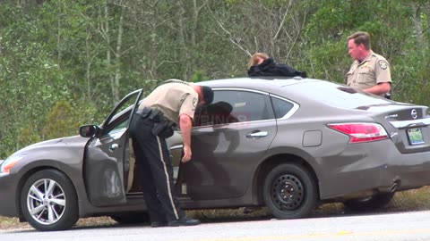 Driver Arrested and Vehicle Searched by State Troopers in Saraland, AL