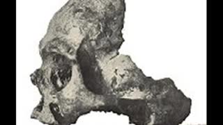 The Case of The Calaveras Skull