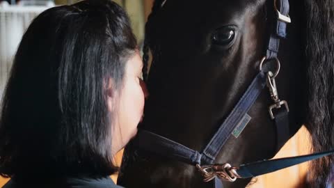 Woman at Equestrian Center Stables kisses large horse on its nose