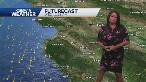 BUSTY MILF Gina's weather forecast (8/30/23)