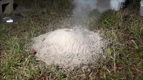 Casting a Fire Ant Colony with Molten Aluminum (Cast #043)