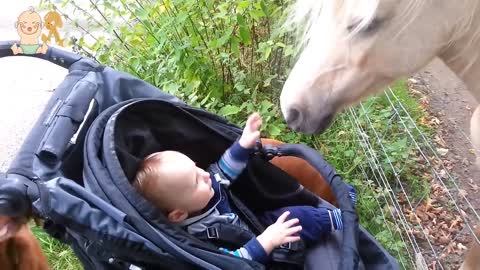 Cute Baby and Horse - Funny Baby and Animals Compilation