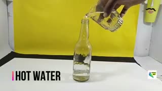 5 Simple Science Experiments and School Magic Tricks | Science Experiments for School