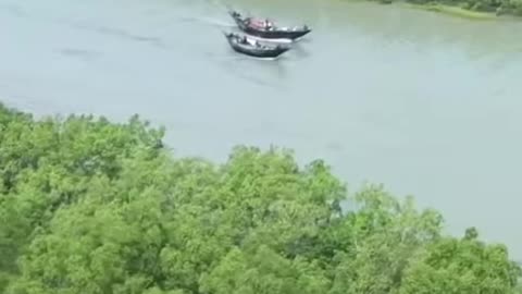 Natural Dron View Sundarban