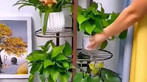 Do you want a flower pot like this#useful #life #lifetips