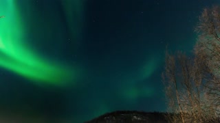 Northern Lights Over Norway