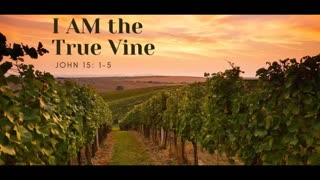 The Lion's Table: I Am the True Vine