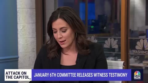 JANUARY 6TH COMMITTEE RELEASES WITNESS TESTIMONY