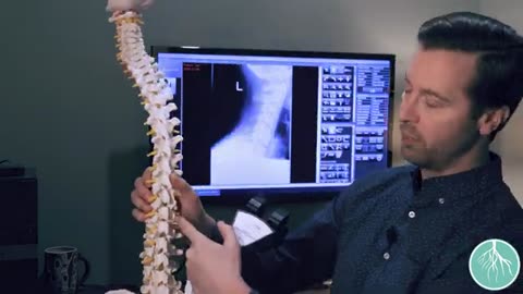The Importance of a Thorough Chiropractic Exam and X-Ray Analysis