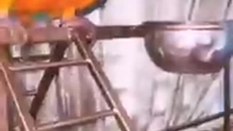 Parrot in Pakistan