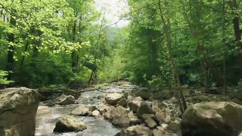 A Shallow River Streaming Through A Bed Of Rocks