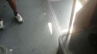 the bus floor Roma