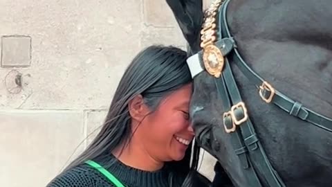 King’s Horse Displays Head to Head Affection