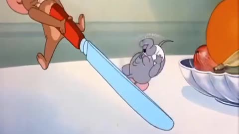 tom and jerry funn make your life incredibly