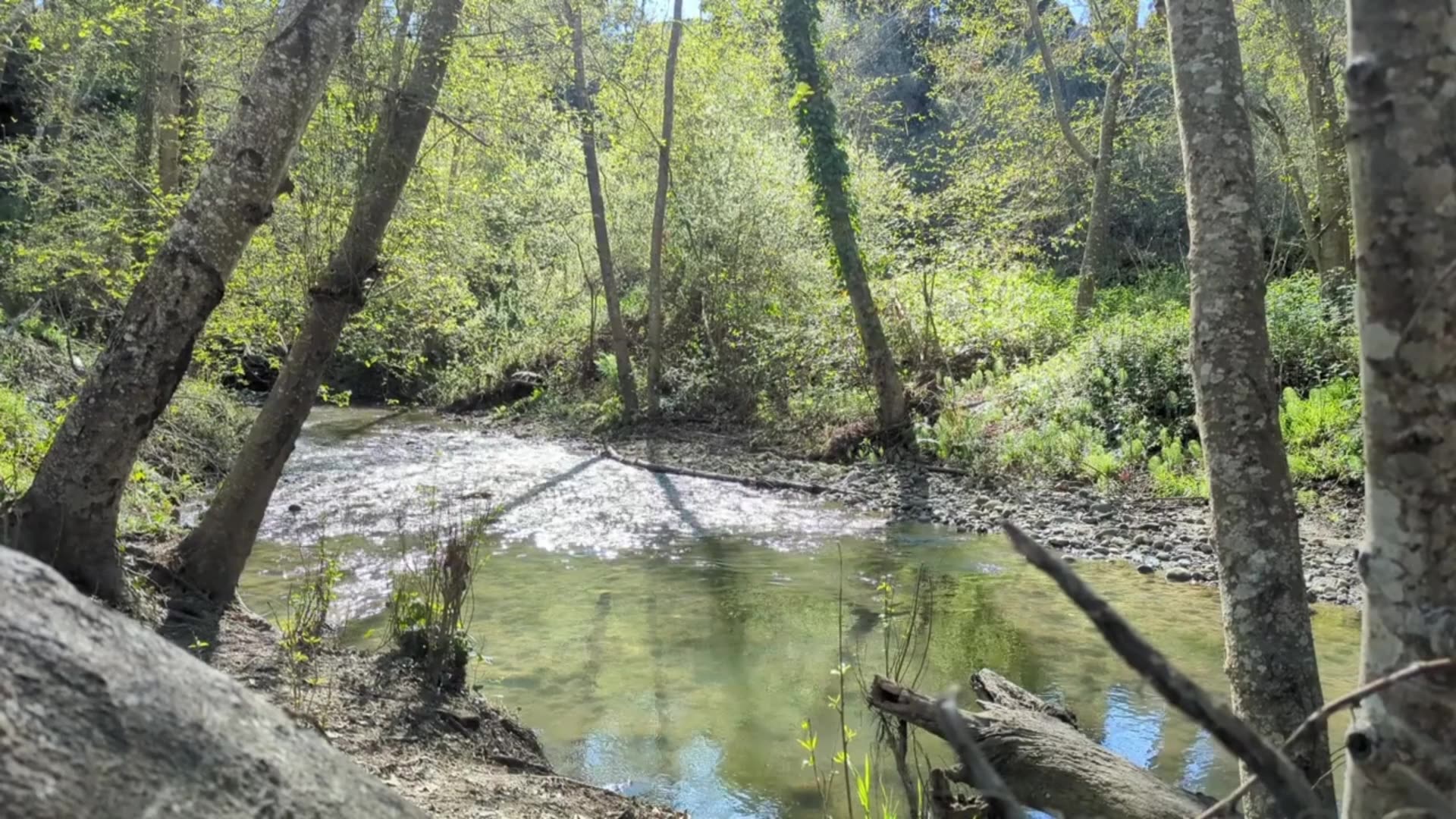 Relax by the creek (no narration)