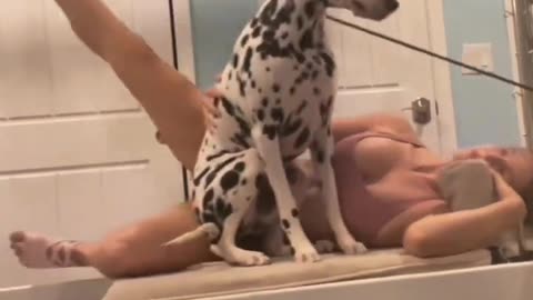 The moment when your dog hear thunder | #hot #sexy #girl
