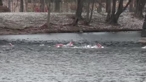Prague swimmers brave icy river for annual competition