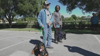 AGGRESIVE & OUT OF CONTROL ROTTWEILER GETS TRAINED NOW | PROFESSIONAL DOG TRAINING SOLUTIONS