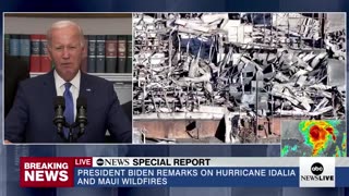 Pedojoe Blames the Fires in Maui on the 'Climate Crisis'..