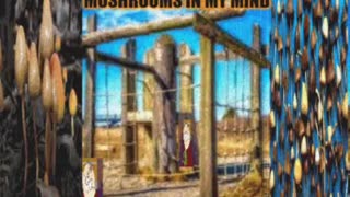 Mushrooms in my mind (parody)