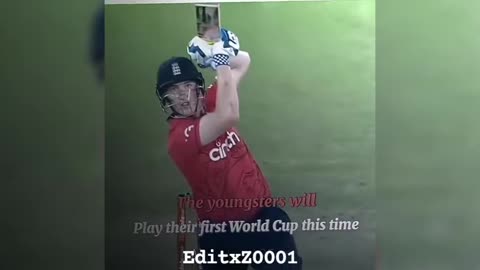 Cricket best moments 2023