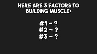 The Actual GUIDE to Building Muscle.