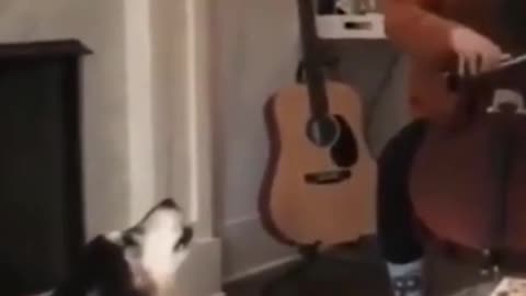 🤣New Funny Dog Video 2021🤣 🐶This dog can sing🤣