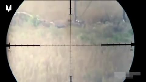 🎯 Ukraine Russia War | Ukrainian SSO Sniper Takes Down 3 Enemies in the Southern Direction | RCF