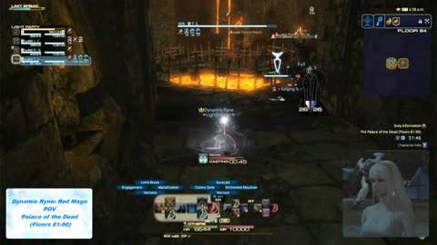 Twitch Broadcast on May 18th, 2024 (Unedited), The Palace of the Dead (Floors 81-90) (Red Mage POV)