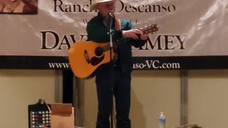 Dave Stamey Live