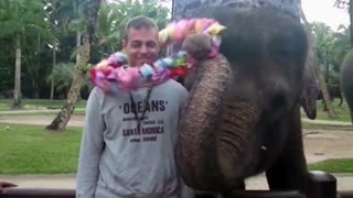 Elephant show in Bali