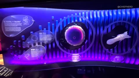 Incredible High-Tech Pro-Life Exhibit Opens at Kentucky's Creation Museum.