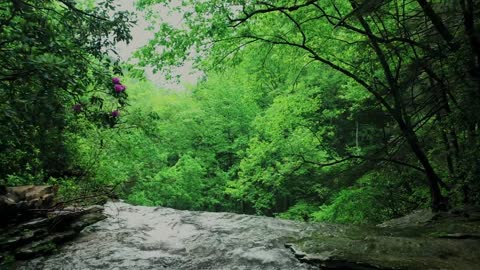 Beautiful Waterfalls zone in forest