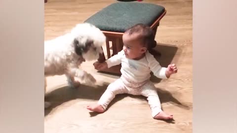 Best video of babies and pets --Babies and Pets Deliver Comedy in Feel-Good Video