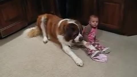 big dog with small children