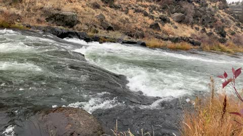 Central Oregon – Steelhead Falls – Watch for the Deer across the River I miss spotting – 4K