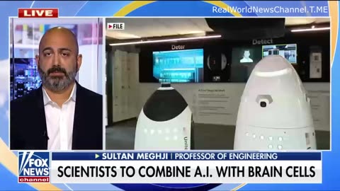 DISHBRAIN - WEF CONTOLLED AUSTRALIA TO MERGE HUMAN BRAIN CELLS WITH AI.